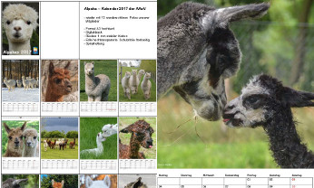 AAeV Kalender 2017