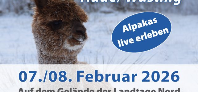 1. AAeV Alpaka-Show Nord in Hude/Wüsting 2026 1. AAeV Alpaka-Show Nord in Hude/Wüsting 2026